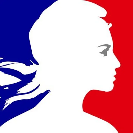 Agence de l'innovation de défense logo