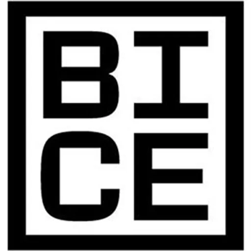Banco de Inversión y Comercio Exterior (BICE) logo