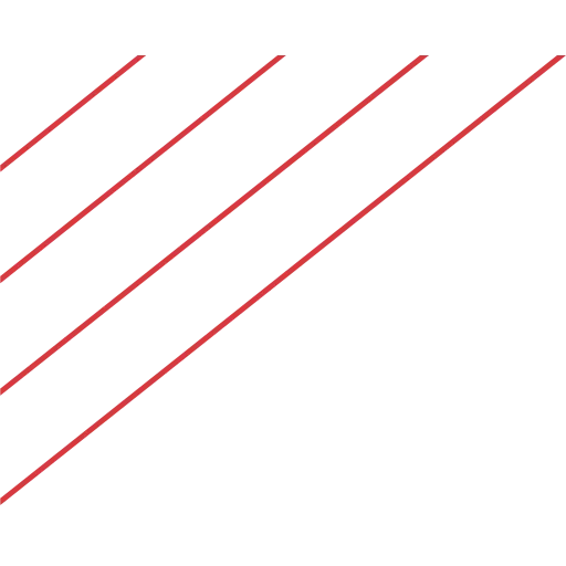 BIRD Foundation (BIRD Energy — DOE + Israeli Ministry of Energy) logo
