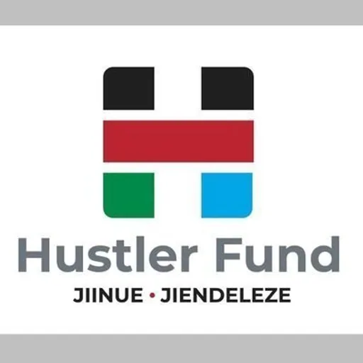 Financial Inclusion Fund (Hustler Fund) logo