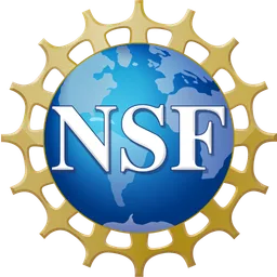 National Science Foundation (NSF) and UEFISCDI logo