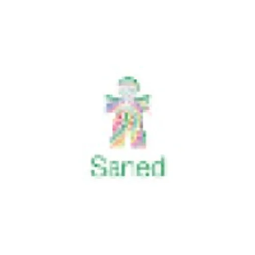 Saned Partners