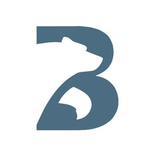 Blue Bear Capital