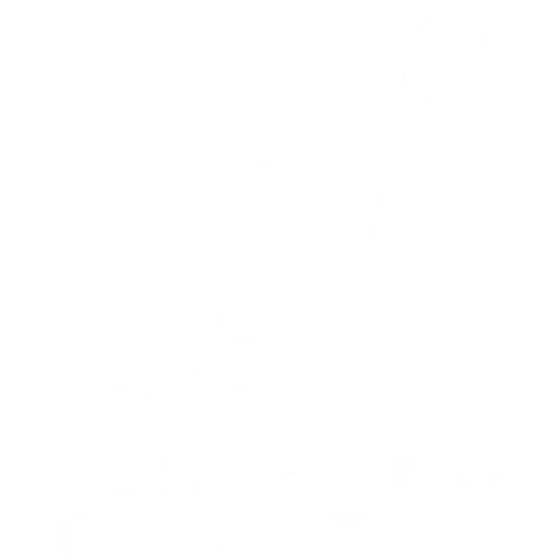 Fortissimo Capital